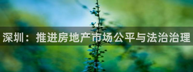 风暴娱乐拉菲8