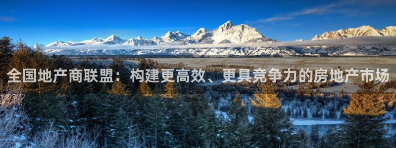 风暴娱乐提现：全国地产商联盟：构建更高效、更具竞争力的房地产