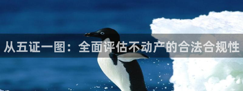 风暴娱乐套路：从五证一图：全面评估不动产的合法合规性