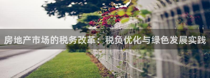 风暴娱乐 风暴注册平台：房地产市场的税务改革：税负优化与绿色