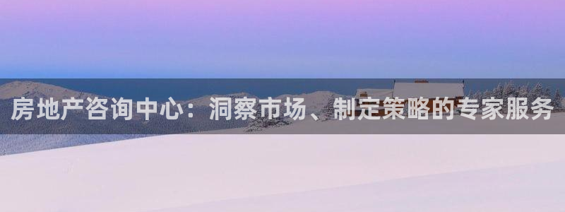 风暴娱乐点：房地产咨询中心：洞察市场、制定策略的专家服务