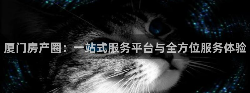 风暴娱乐主页：厦门房产圈：一站式服务平台与全方位服务体验