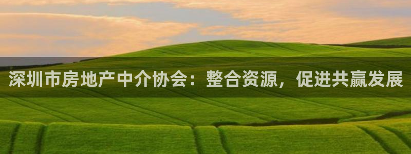 风暴娱乐平台官网登陆：深圳市房地产中介协会：整合资源，促进共
