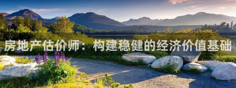 风暴娱乐记：房地产估价师：构建稳健的经济价值基础