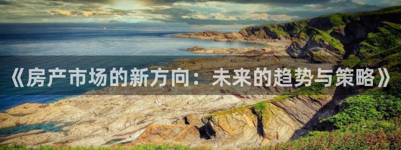 风暴官方娱乐：《房产市场的新方向：未来的趋势与策略》