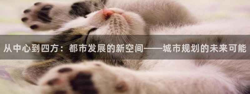 娱乐风暴二：从中心到四方：都市发展的新空间——城市规划的未来