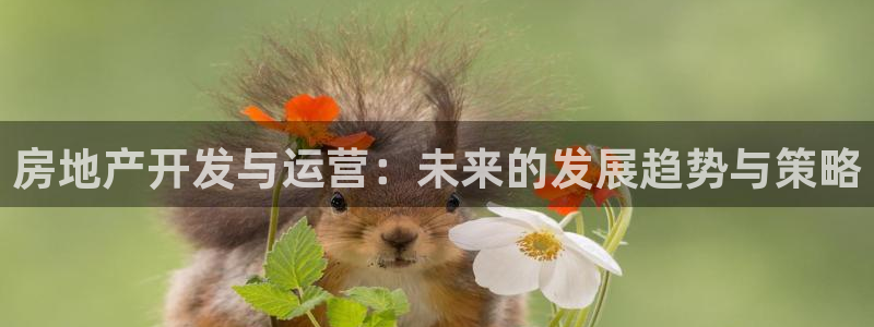风暴娱乐这个平台靠谱：房地产开发与运营：未来的发展趋势与策略