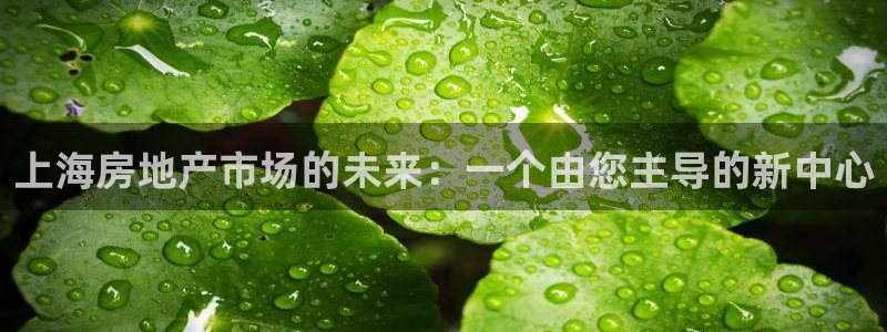 风暴娱乐代理登录：上海房地产市场的未来：一个由您主导的新中心