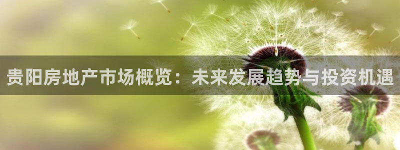 风暴娱乐1：贵阳房地产市场概览：未来发展趋势与投资机遇