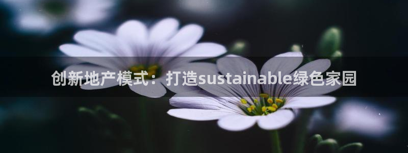 风暴娱乐提现：创新地产模式：打造sustainable绿色家