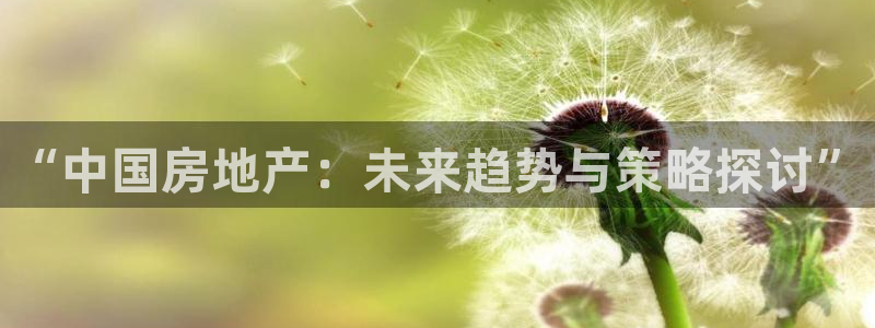 风暴娱乐自动挂