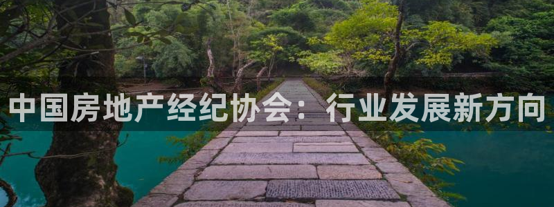 风暴娱乐求333OOc：中国房地产经纪协会：行业发展新方向