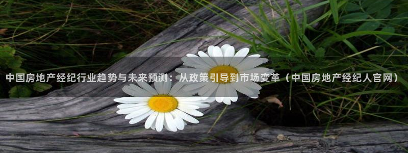 蓝色风暴娱乐：中国房地产经纪行业趋势与未来预测：从政策引导到