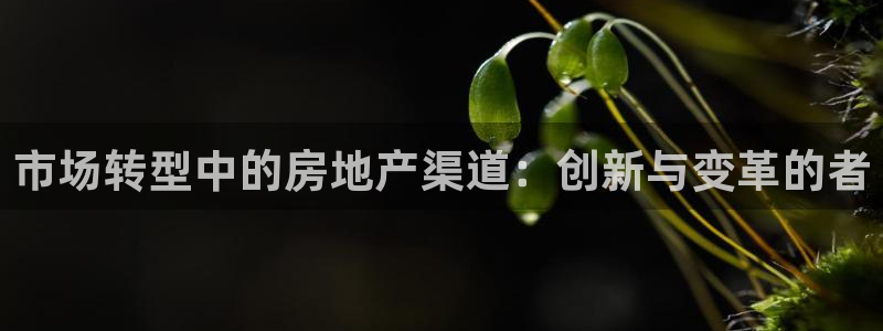 完美风暴 娱乐