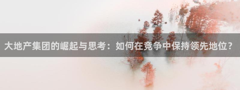娱乐风暴系统：大地产集团的崛起与思考：如何在竞争中保持领先地