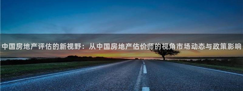 风暴娱乐园：中国房地产评估的新视野：从中国房地产估价师的视角