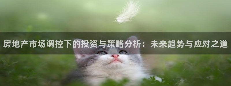 风暴娱乐：房地产市场调控下的投资与策略分析：未来趋势与应对之