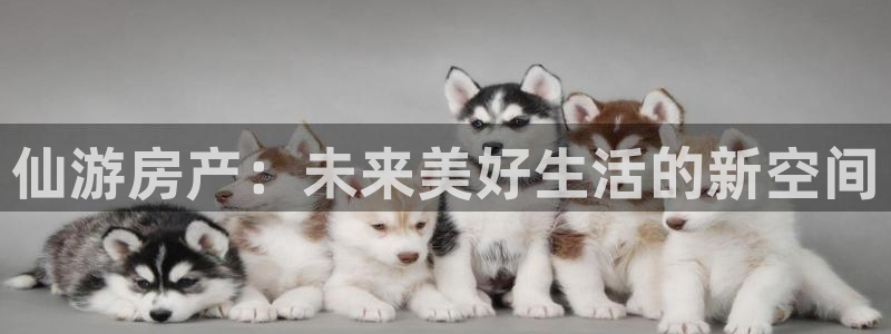 风暴娱乐下载地址：仙游房产：未来美好生活的新空间