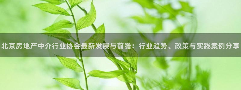 风暴娱乐待遇：北京房地产中介行业协会最新发展与前瞻：行业趋势