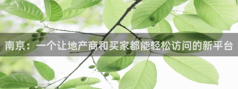 风暴娱乐求333OOc：南京：一个让地产商和买家都能轻松访问