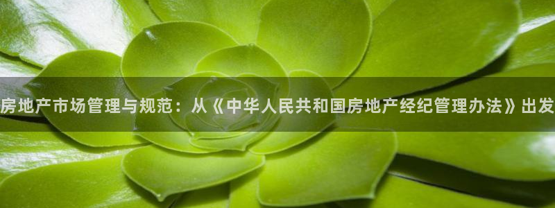风暴娱乐40996：房地产市场管理与规范：从《中华人民共和国
