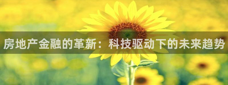 完美风暴 娱乐：房地产金融的革新：科技驱动下的未来趋势