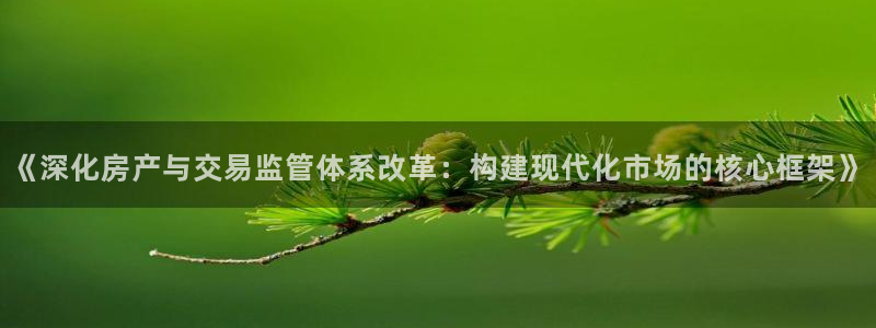 风暴娱乐 北京：《深化房产与交易监管体系改革：构建现代化市场