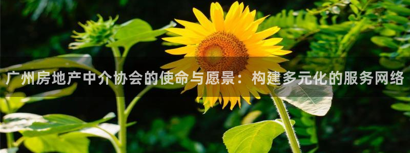 风暴娱乐求333OOf：广州房地产中介协会的使命与愿景：构建