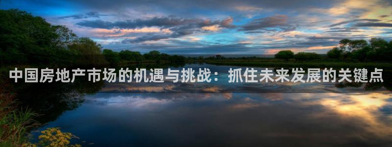 风暴娱乐派对：中国房地产市场的机遇与挑战：抓住未来发展的关键