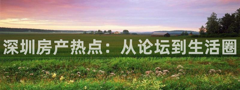 风暴娱乐老板
