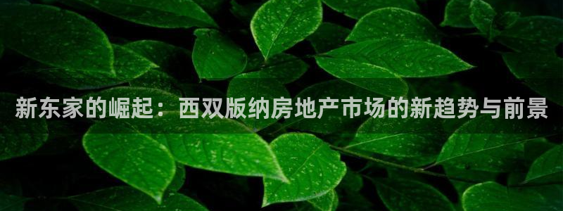 风暴娱乐待遇：新东家的崛起：西双版纳房地产市场的新趋势与前景
