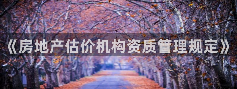 风暴娱乐344272：《房地产估价机构资质管理规定》
