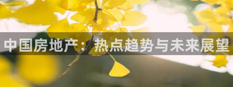 风暴娱乐图片：中国房地产：热点趋势与未来展望