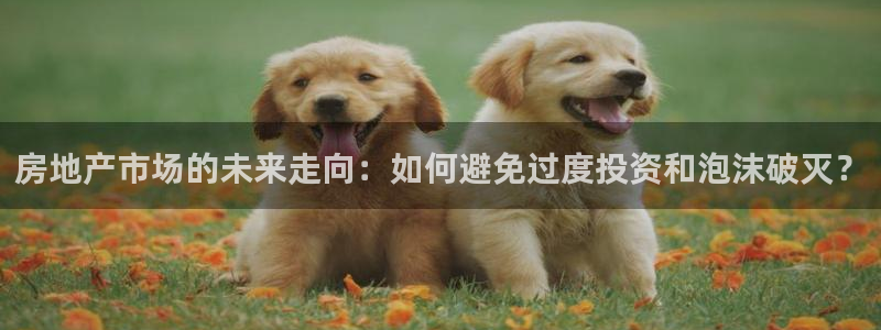 风暴娱乐客服：房地产市场的未来走向：如何避免过度投资和泡沫破