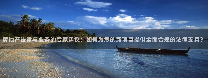 娱乐风暴二：房地产法律与业务的专家建议：如何为您的新项目提供