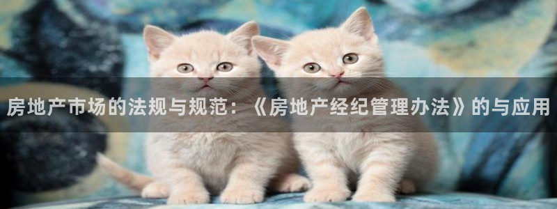 风暴娱乐1：房地产市场的法规与规范：《房地产经纪管理办法》的