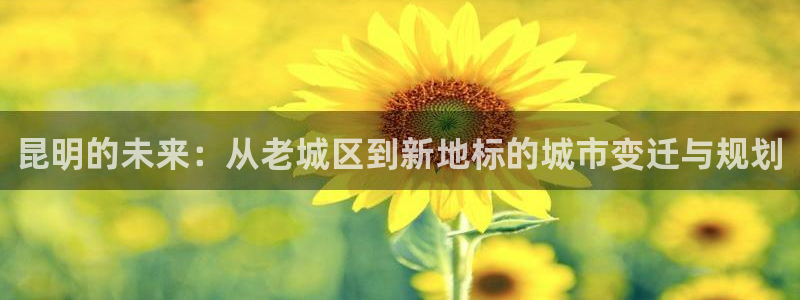 风暴新娱乐：昆明的未来：从老城区到新地标的城市变迁与规划