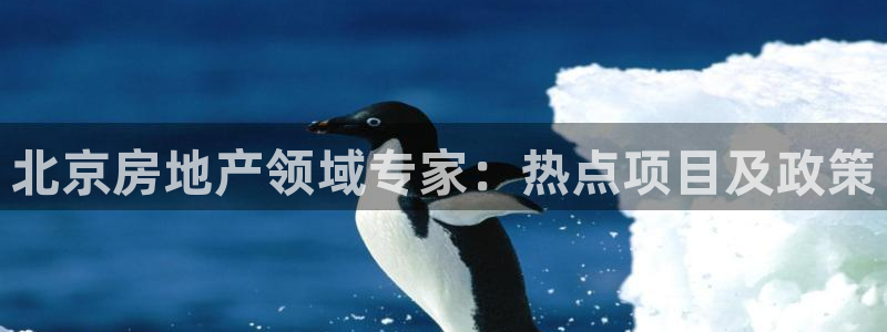 风暴娱乐求333OOa：北京房地产领域专家：热点项目及政策