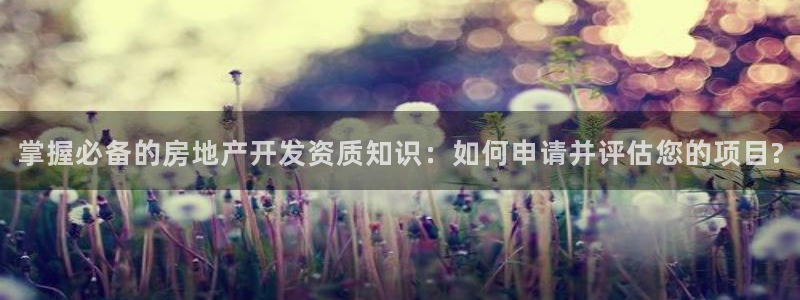 风暴娱乐汇：掌握必备的房地产开发资质知识：如何申请并评估您的