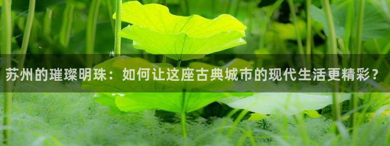 风暴娱乐344272：苏州的璀璨明珠：如何让这座古典城市的现