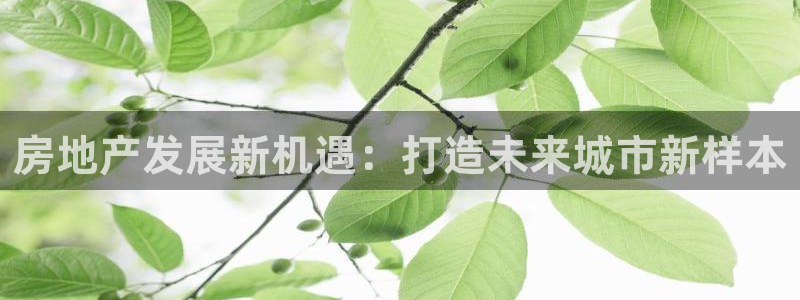风暴娱乐官方网站：房地产发展新机遇：打造未来城市新样本