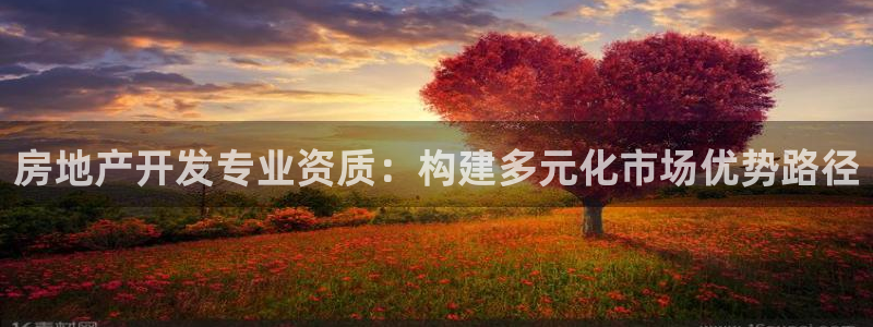 下载风暴娱乐：房地产开发专业资质：构建多元化市场优势路径