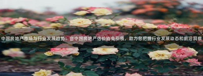 风暴娱乐线路：中国房地产市场与行业发展趋势：由中国房地产估价