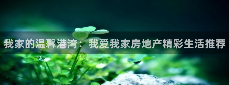 风暴娱乐注册网址：我家的温馨港湾：我爱我家房地产精彩生活推荐
