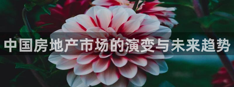 风暴娱乐银川：中国房地产市场的演变与未来趋势