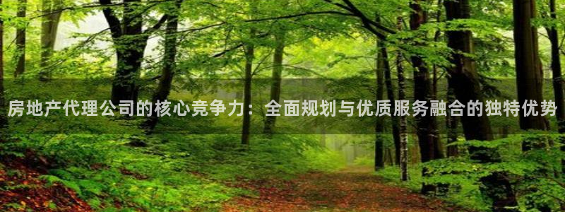 风暴娱乐棋牌：房地产代理公司的核心竞争力：全面规划与优质服务