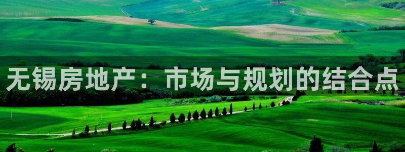 风暴娱乐图片：无锡房地产：市场与规划的结合点