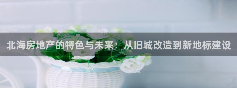 娱乐风暴合集：北海房地产的特色与未来：从旧城改造到新地标建设