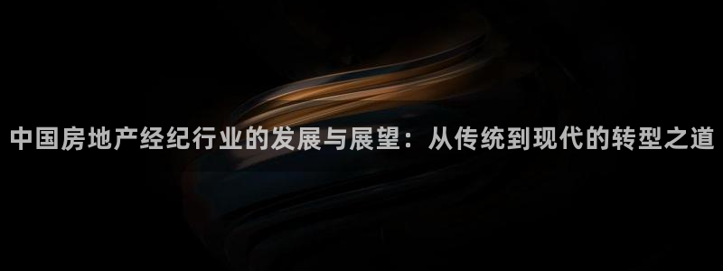 风暴娱乐派对：中国房地产经纪行业的发展与展望：从传统到现代的