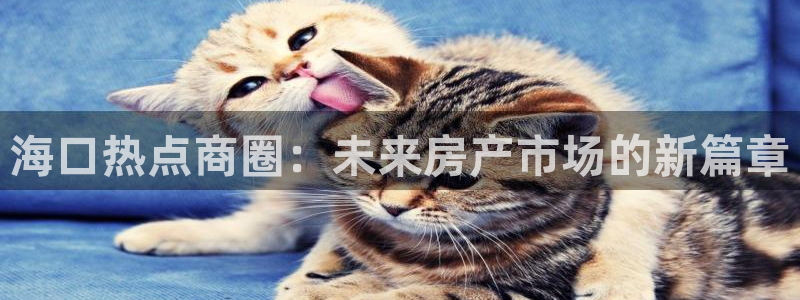 风暴娱乐套路